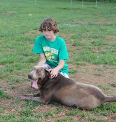 Dawson and Shad