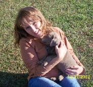 Chase and Silver Labrador Tonto as a pup
